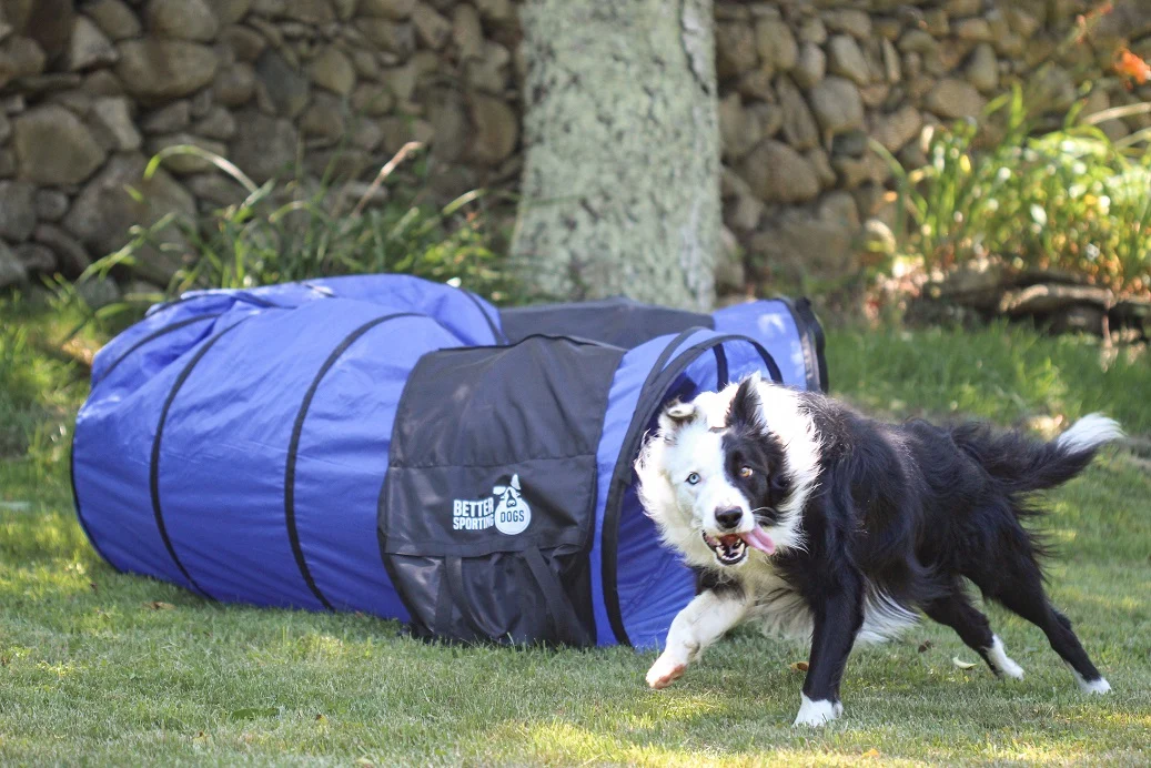 Better Sporting Dogs 16 ft Dog Agility Tunnel with Sandbags –  Training Tunnel for Backyard Agility Courses - Image 3
