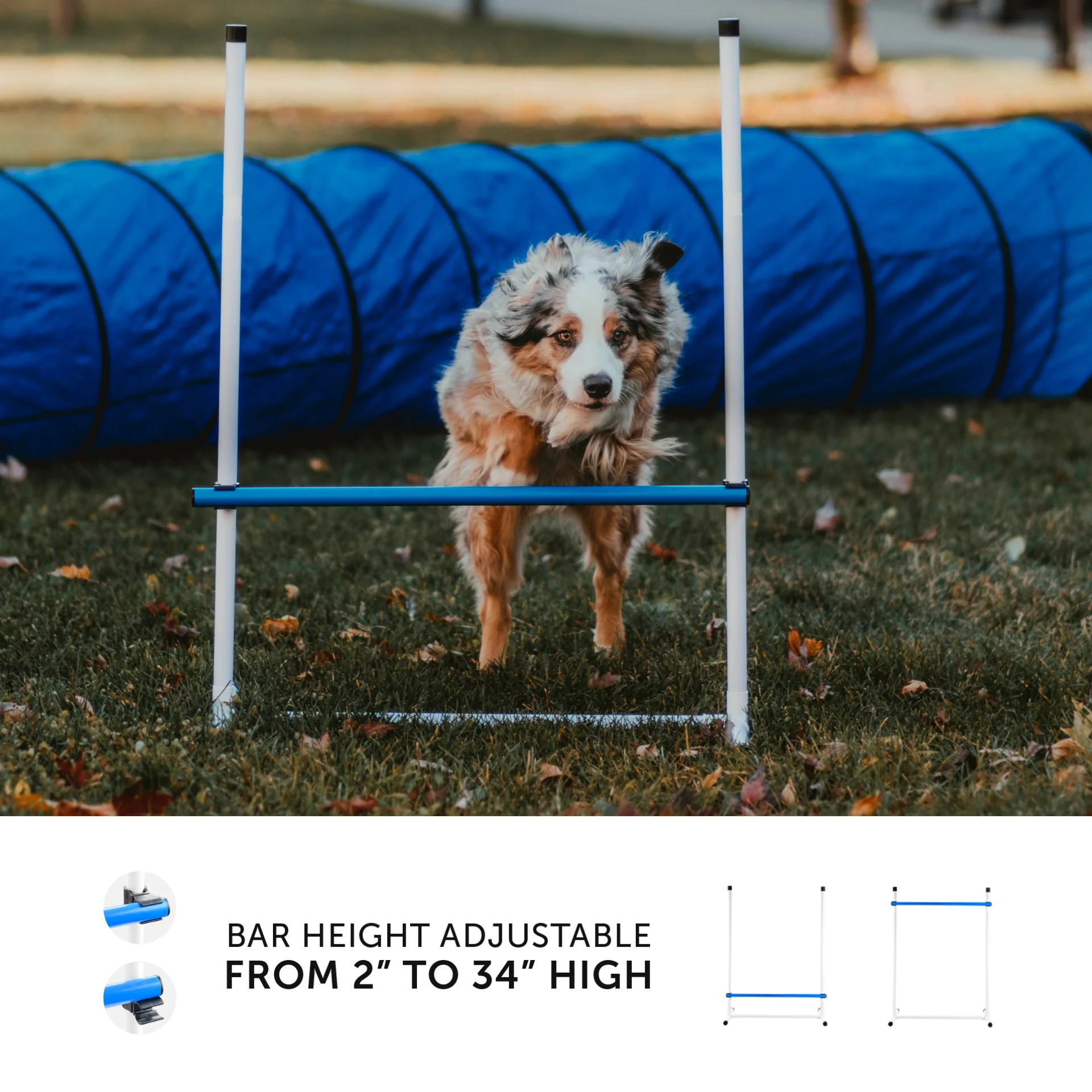 Better Sporting Dogs 5 Piece Dog Agility Equipment Set – with Jumps, Tunnel, Pause Box & Weave Poles - Image 3