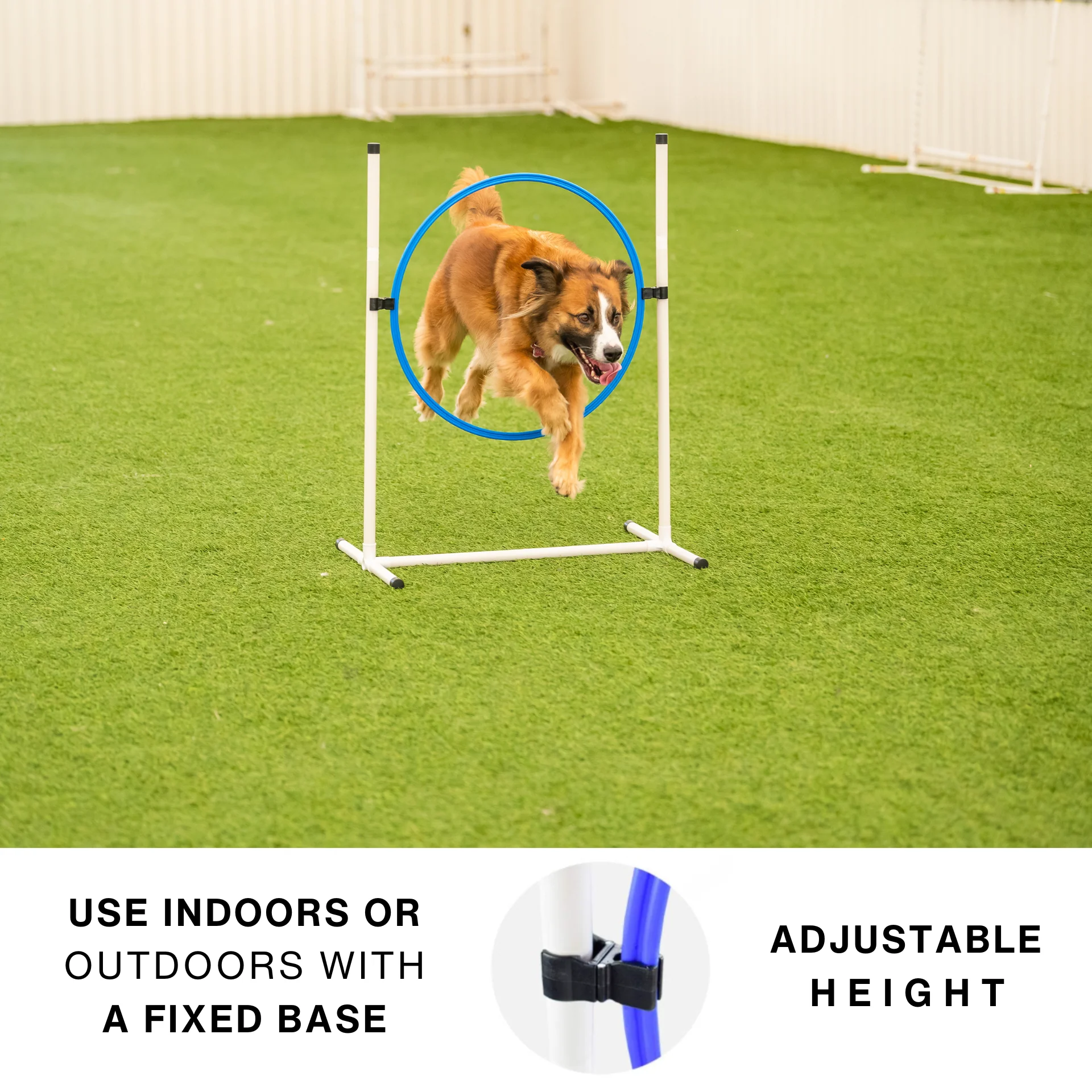 Better Sporting Dogs 5 Piece Dog Agility Equipment Set – with Jumps, Tunnel, Pause Box & Weave Poles - Image 4