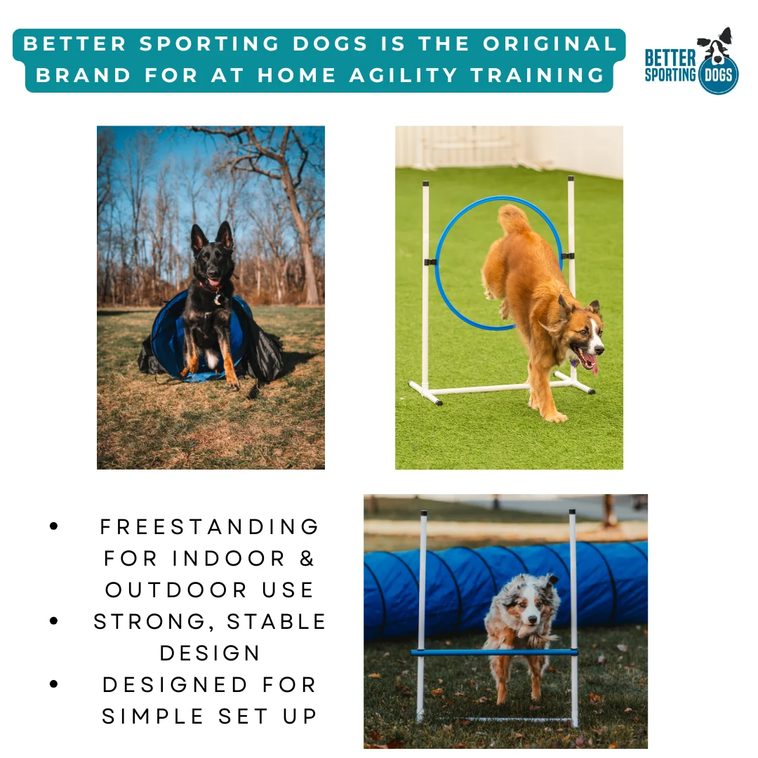 Better Sporting Dogs 5 Piece Dog Agility Equipment Set – with Jumps, Tunnel, Pause Box & Weave Poles - Image 8