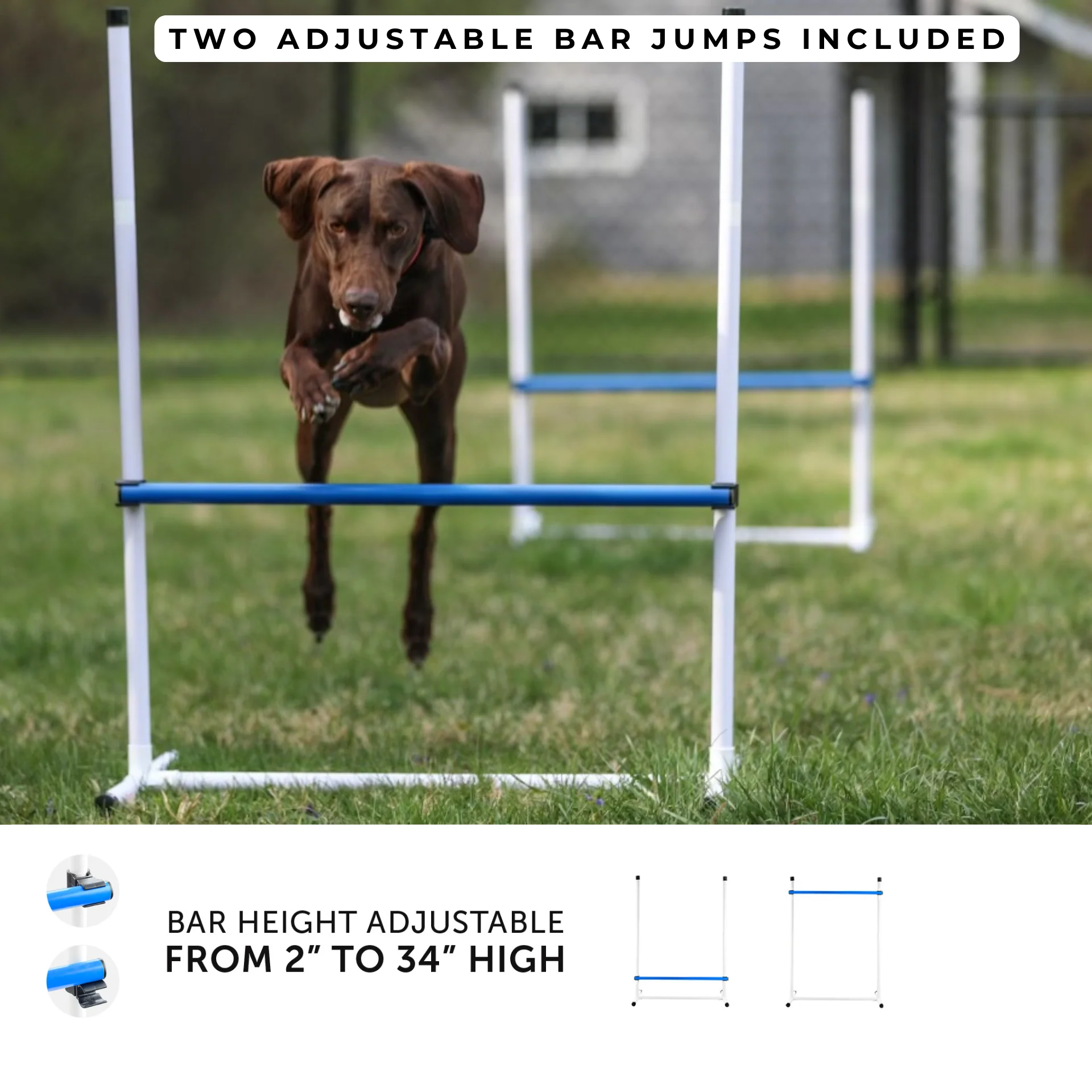 Better Sporting Dogs 7 Piece Dog Agility Equipment Set – with Jumps, Tunnels, Pause Box & Weave Poles - Image 3