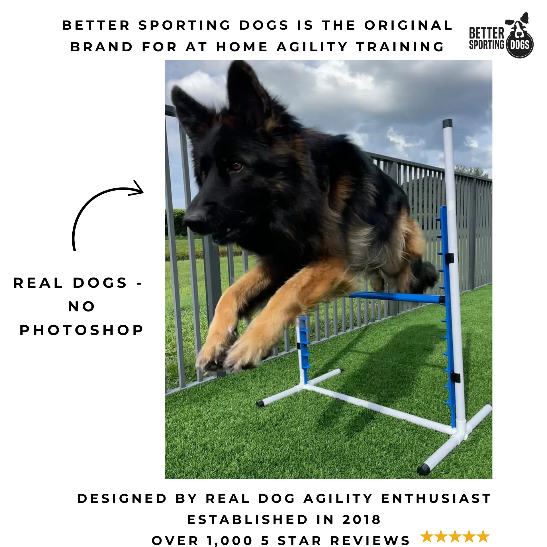 Better Sporting Dogs Adjustable Dog Agility Bar Jumps - Image 6