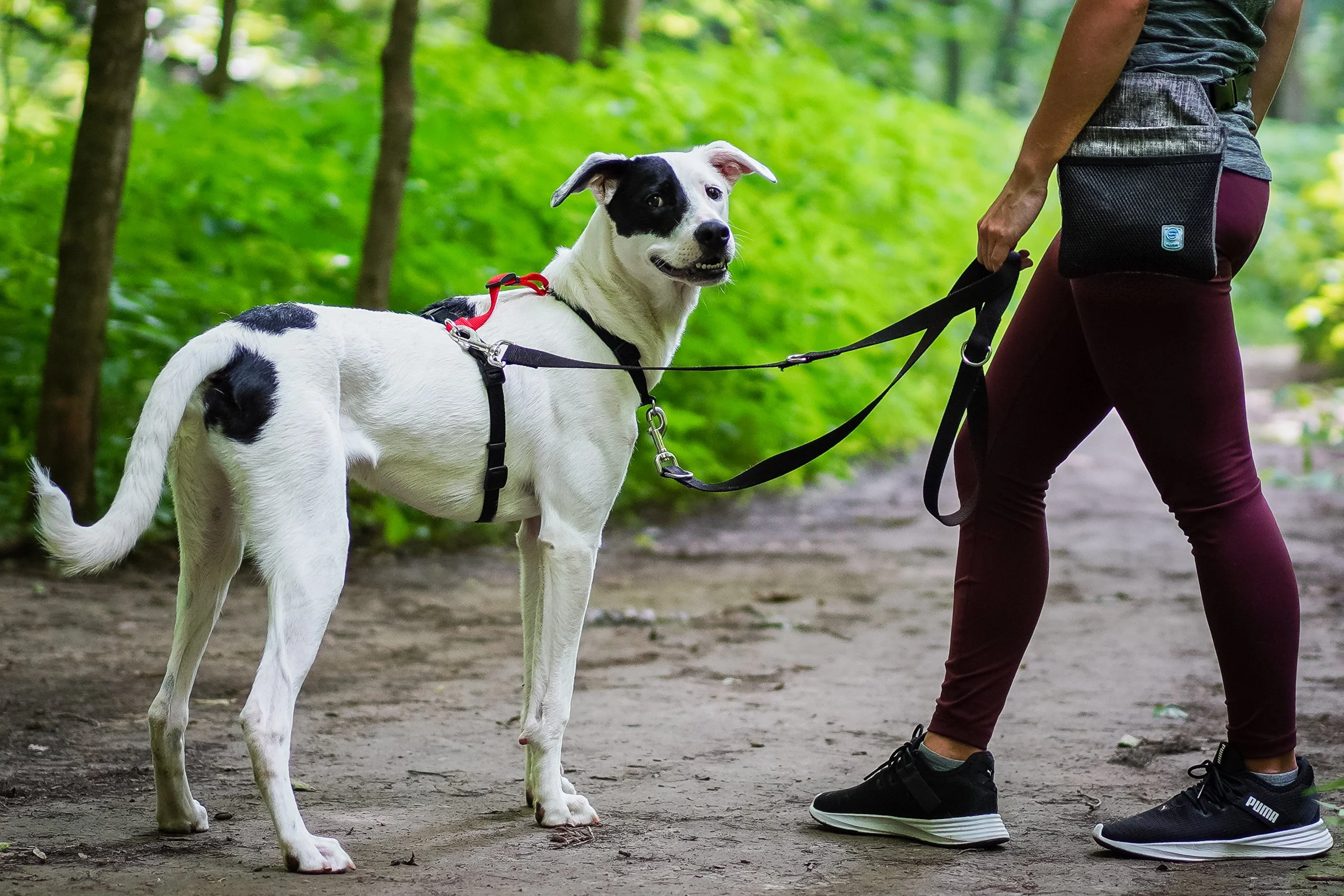 Balance Harness - Image 7