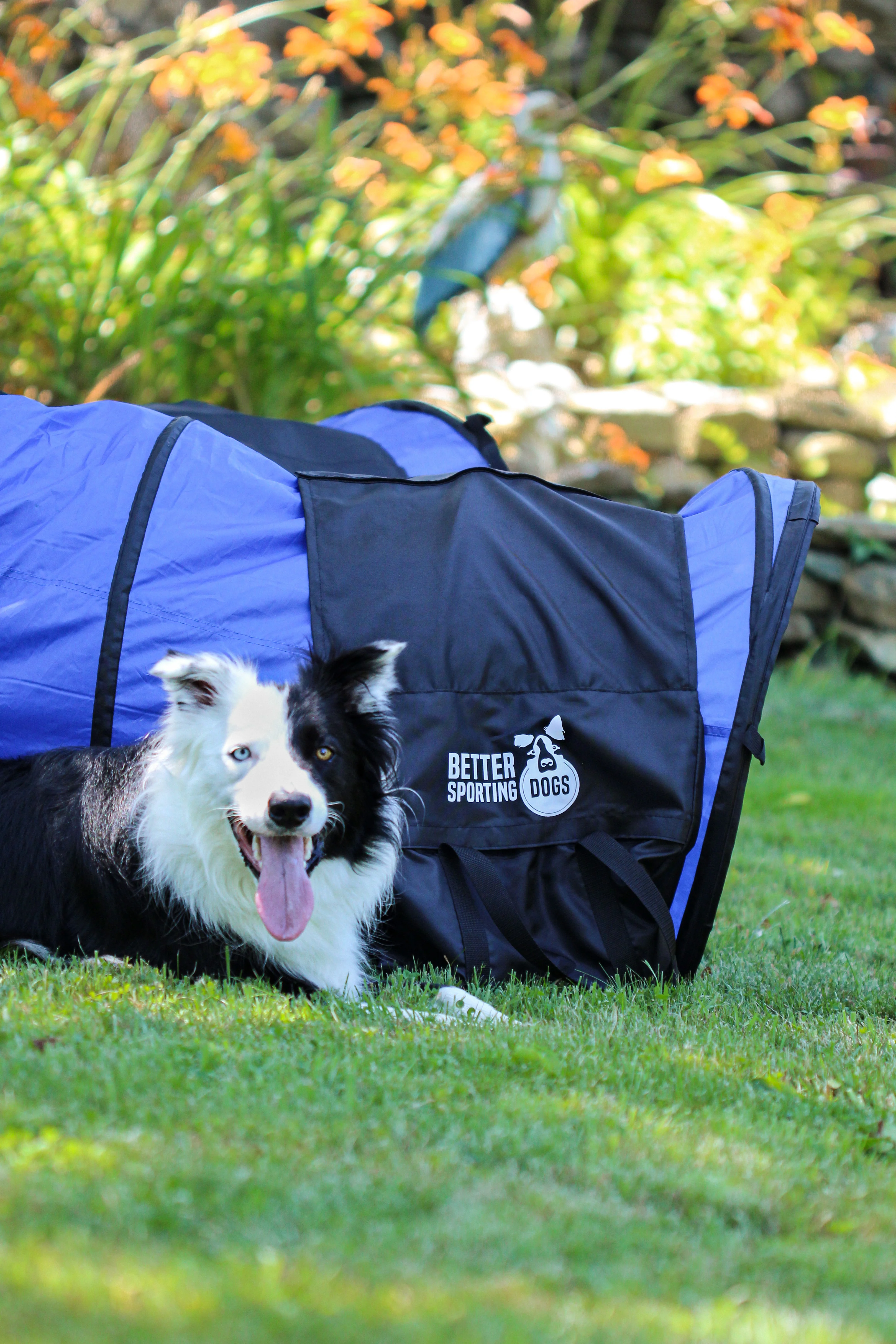 Pack of 2 Tunnel Sandbags - Image 5