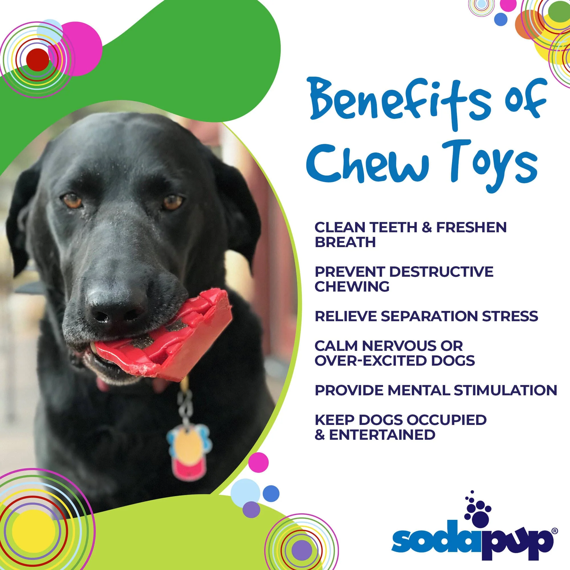 Cherry Pie eChew Ultra Durable Nylon Dog Chew Toy and Treat Holder - Image 3