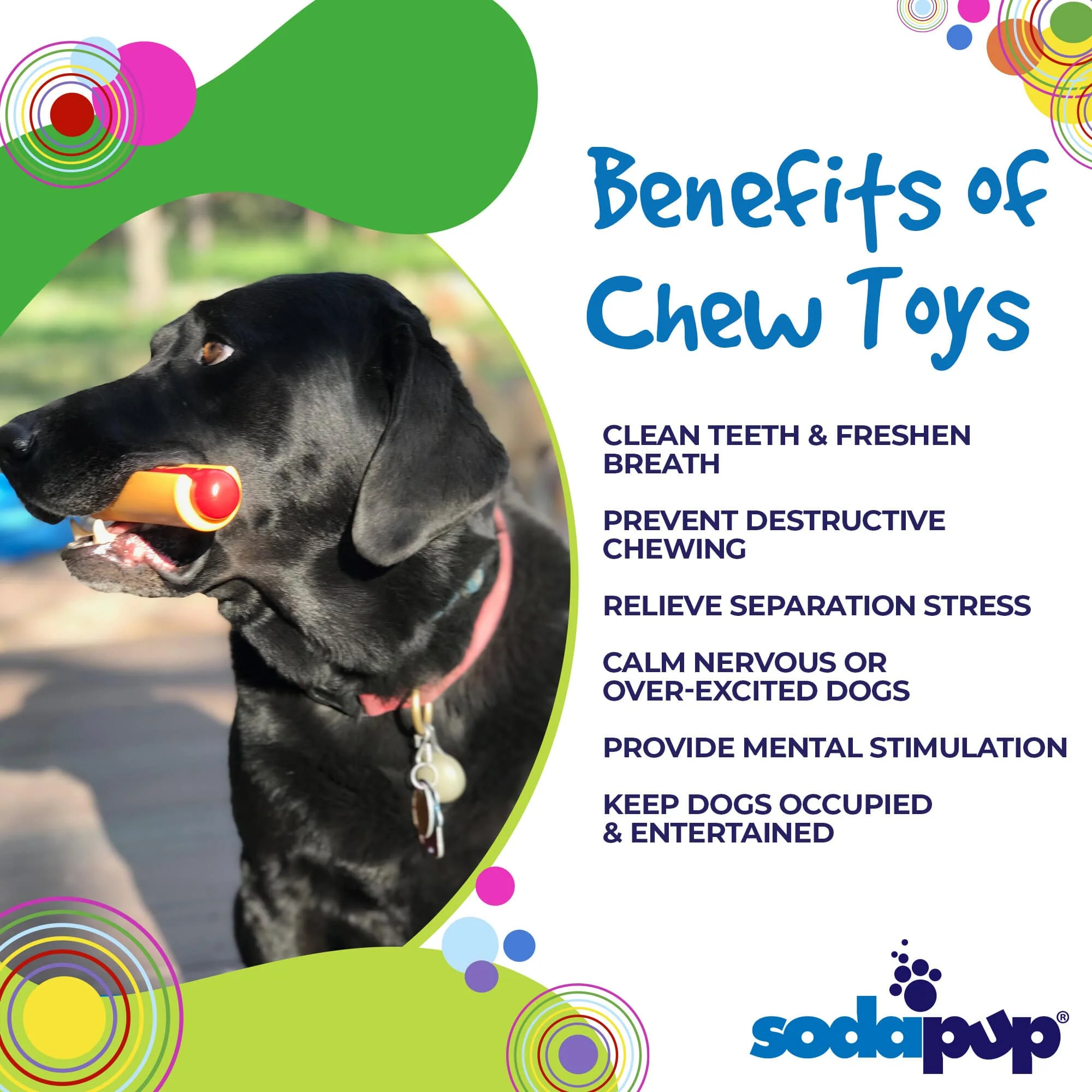 Hot Dog Ultra Durable Nylon Dog Chew Toy - Image 3