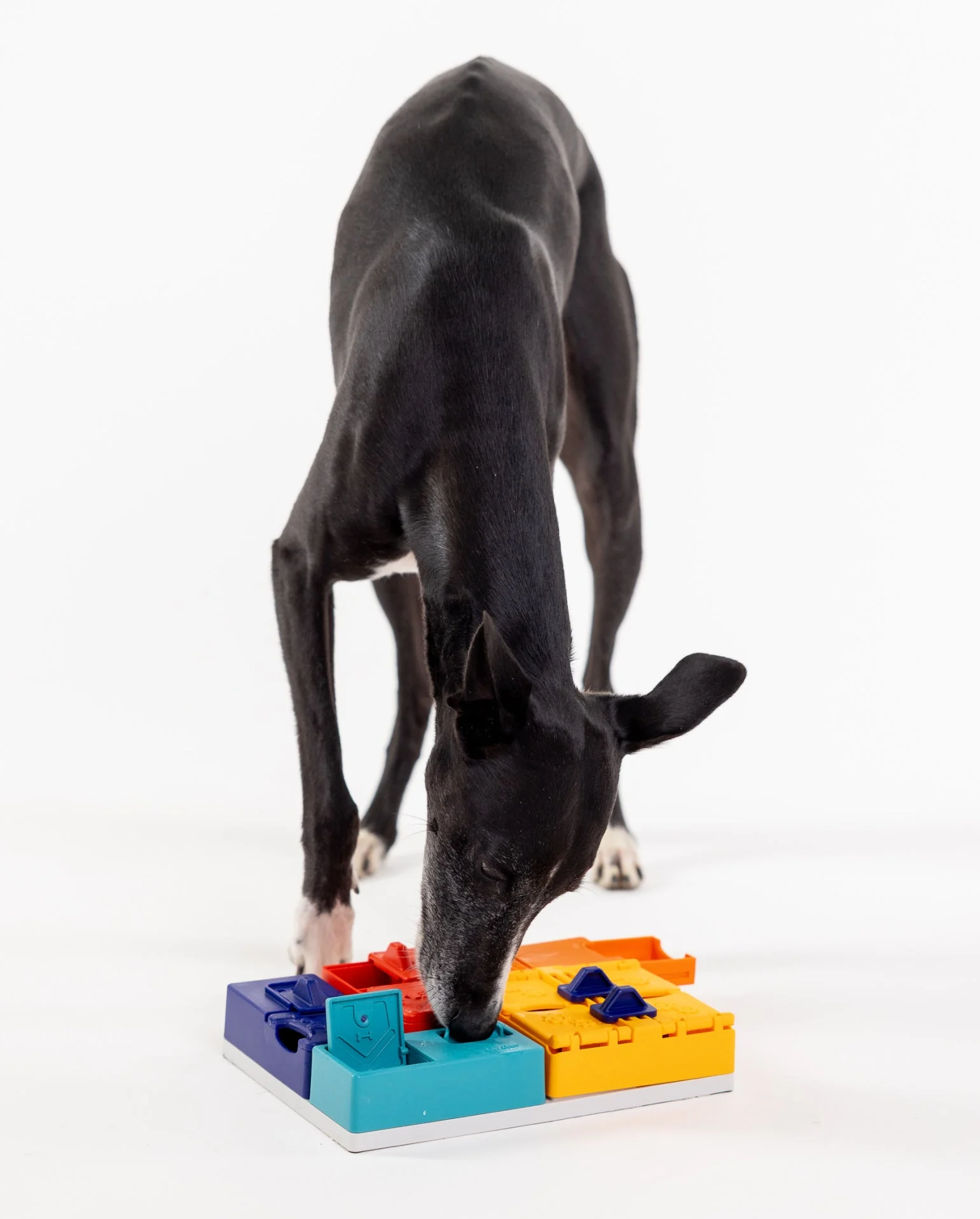 Pawzler Set - Genius - Image 4
