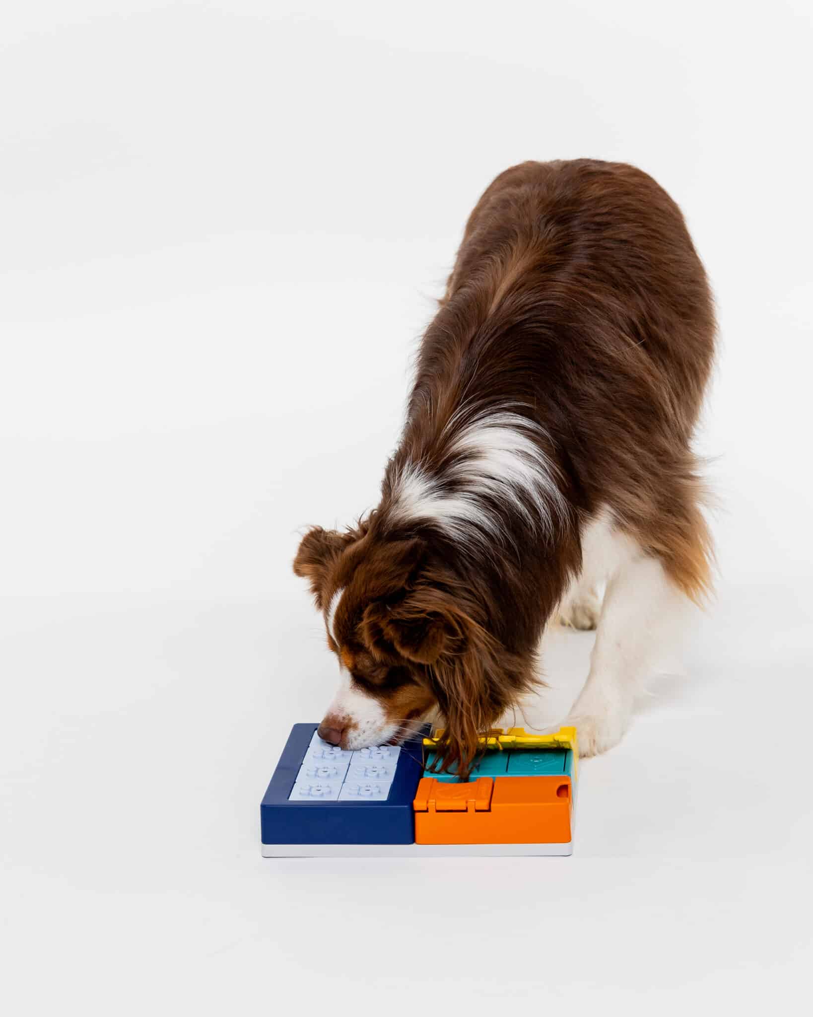 Pawzler Set - Smarty - Image 4