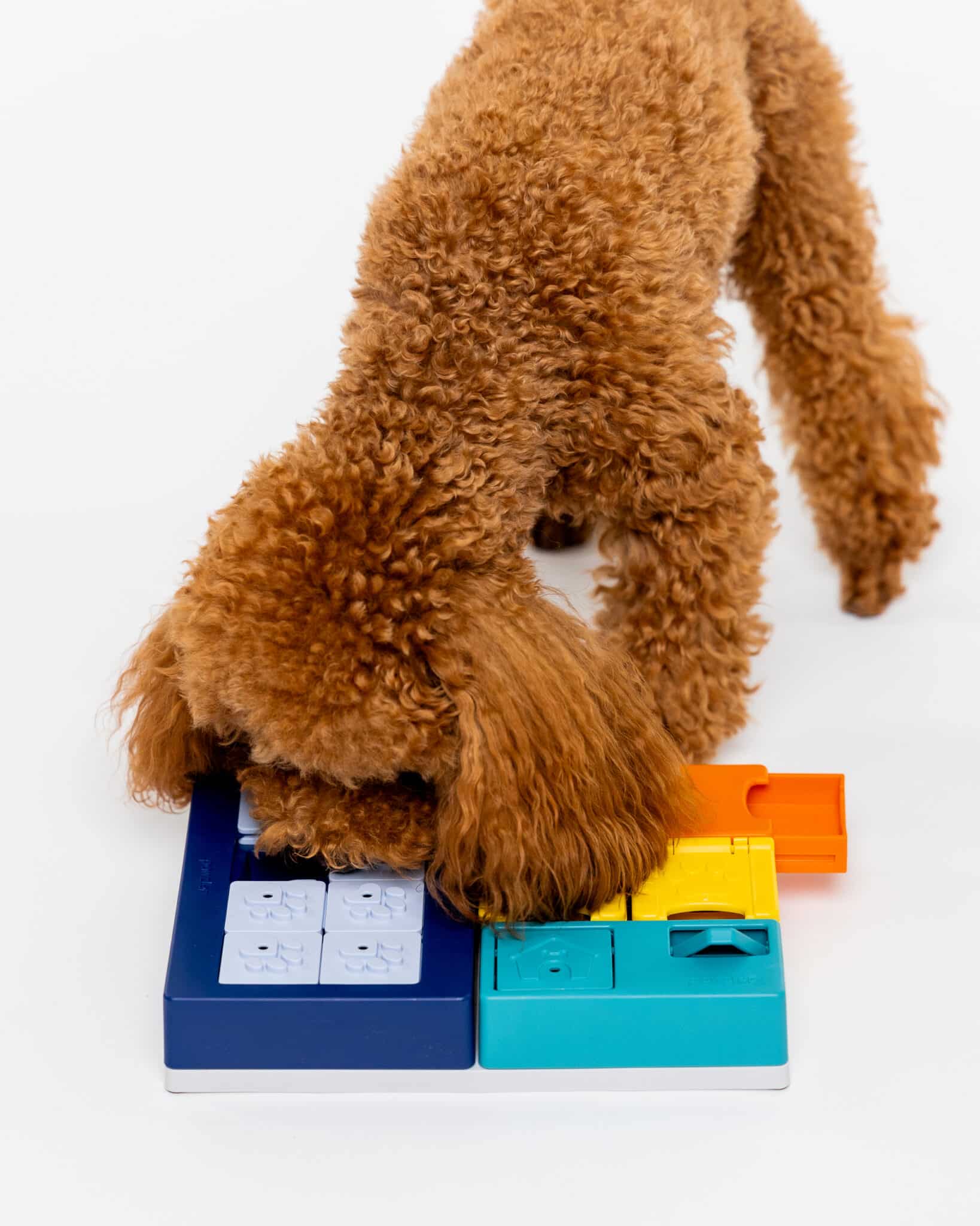 Pawzler Set - Smarty - Image 6