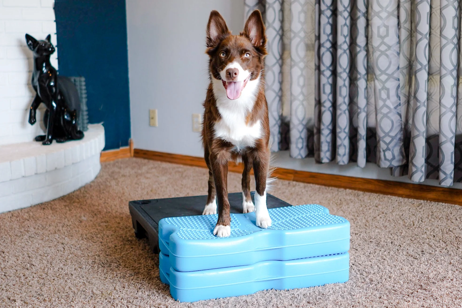 Propel Air Platform - Image 12