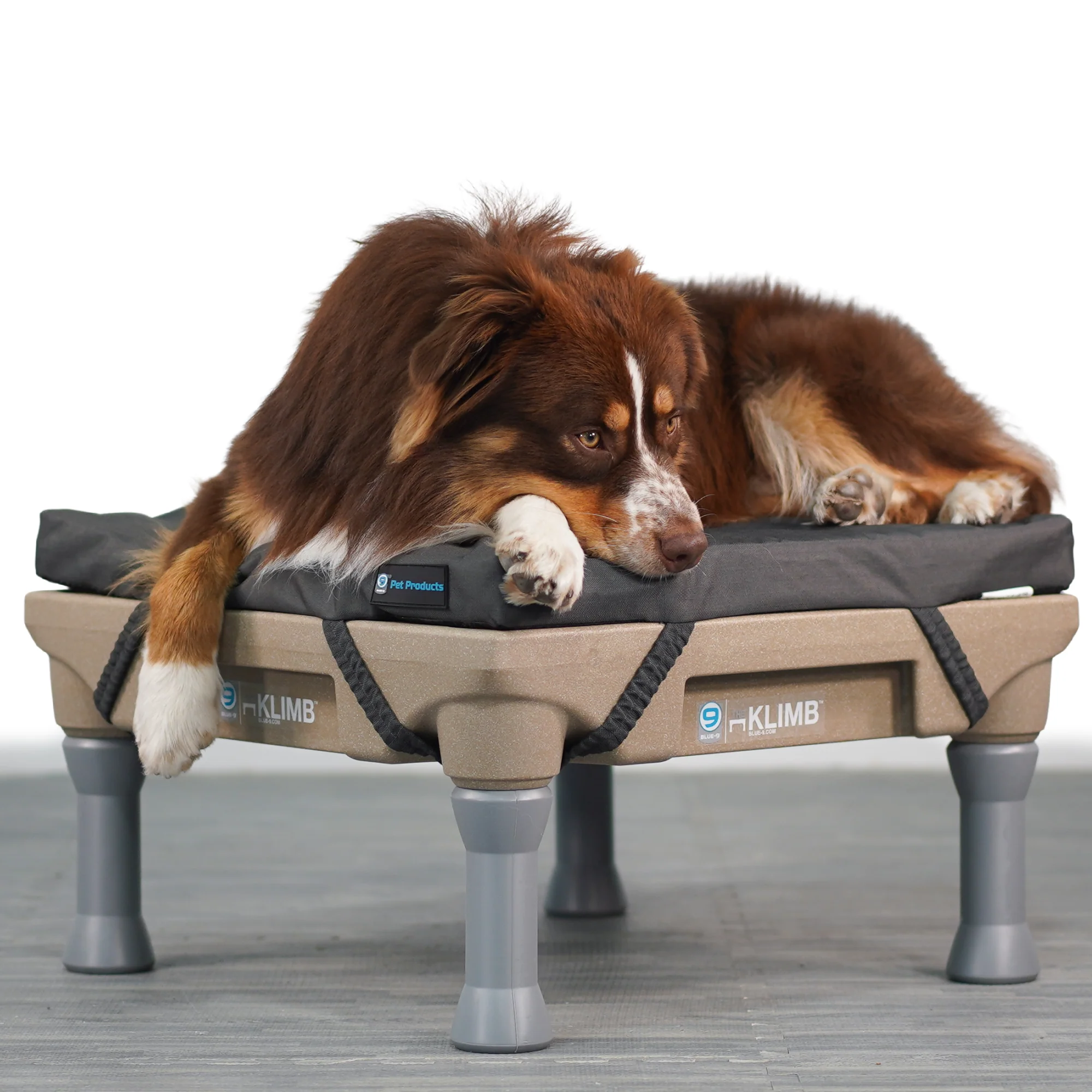 Restore Dog Bed - Image 2