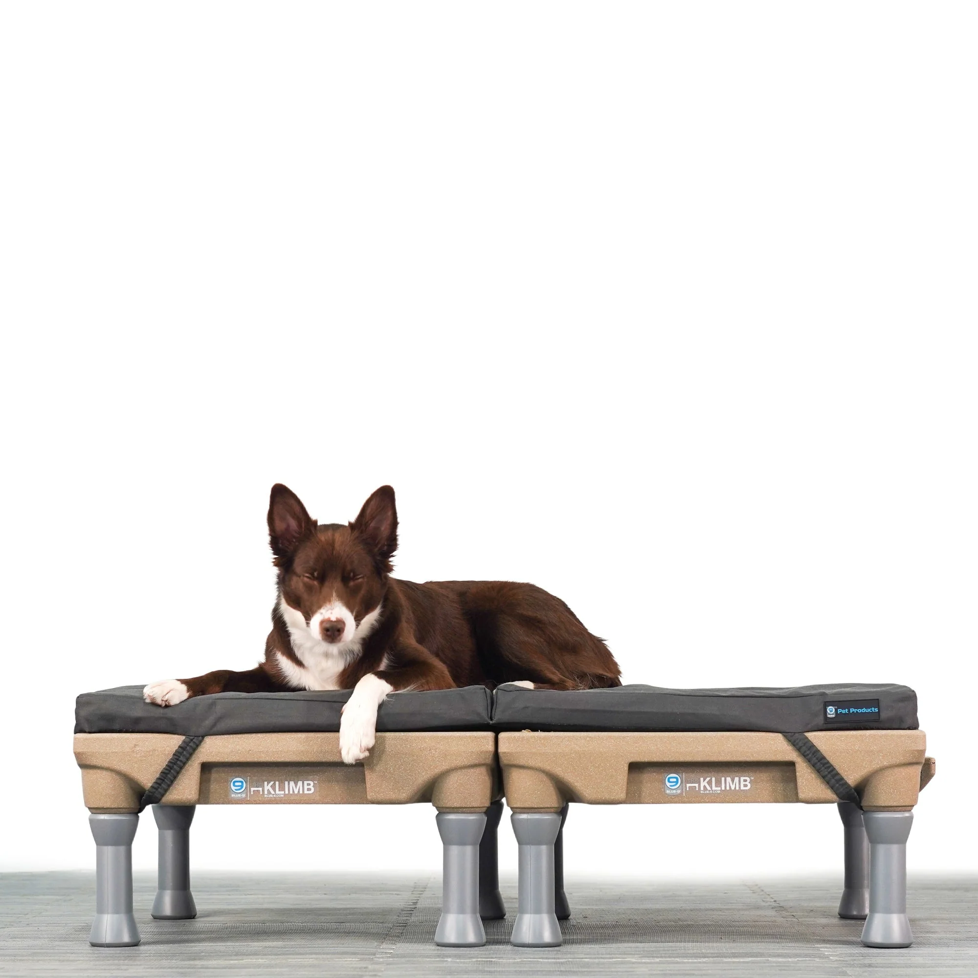 Restore+ Double Dog Bed - Image 4