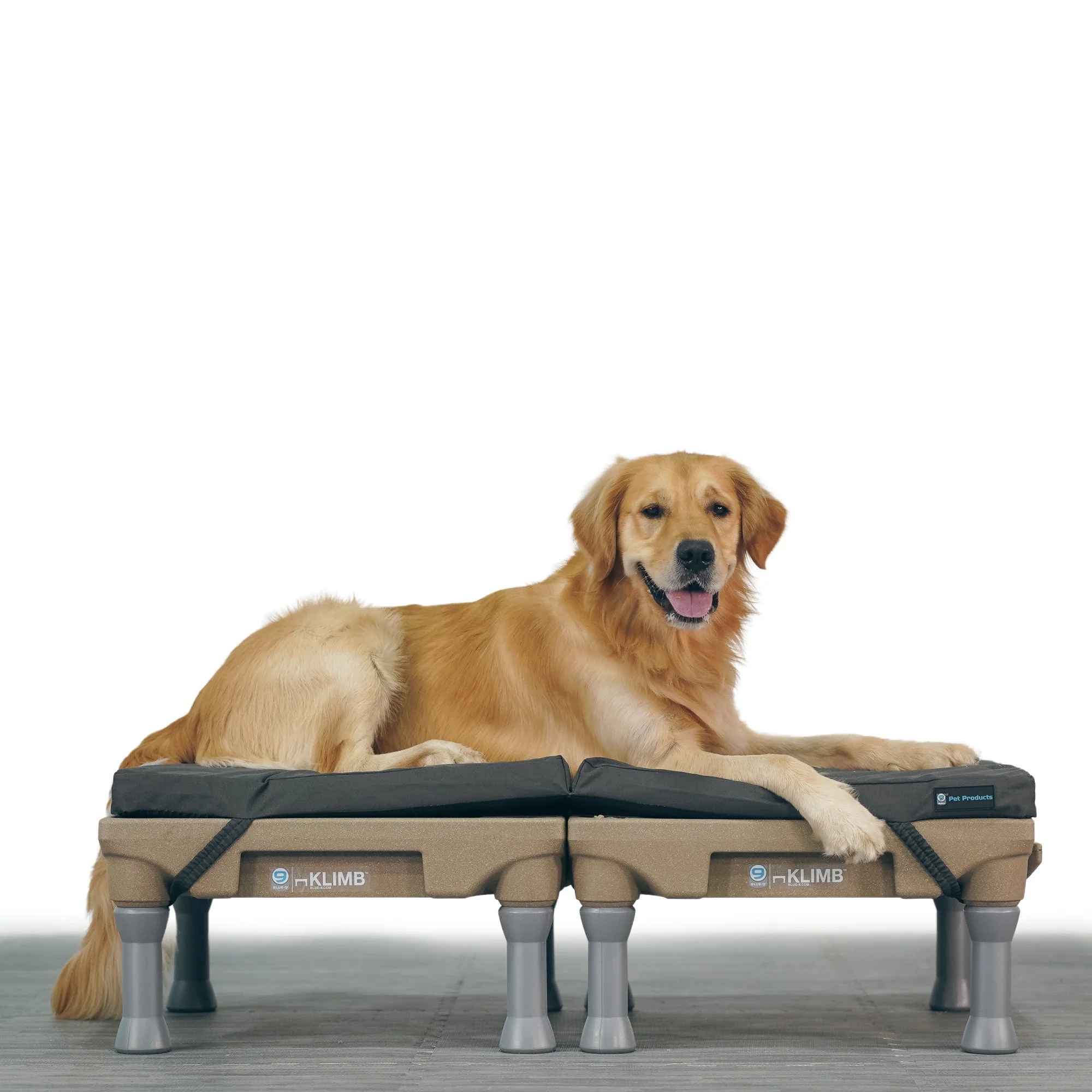 Restore+ Double Dog Bed - Image 5
