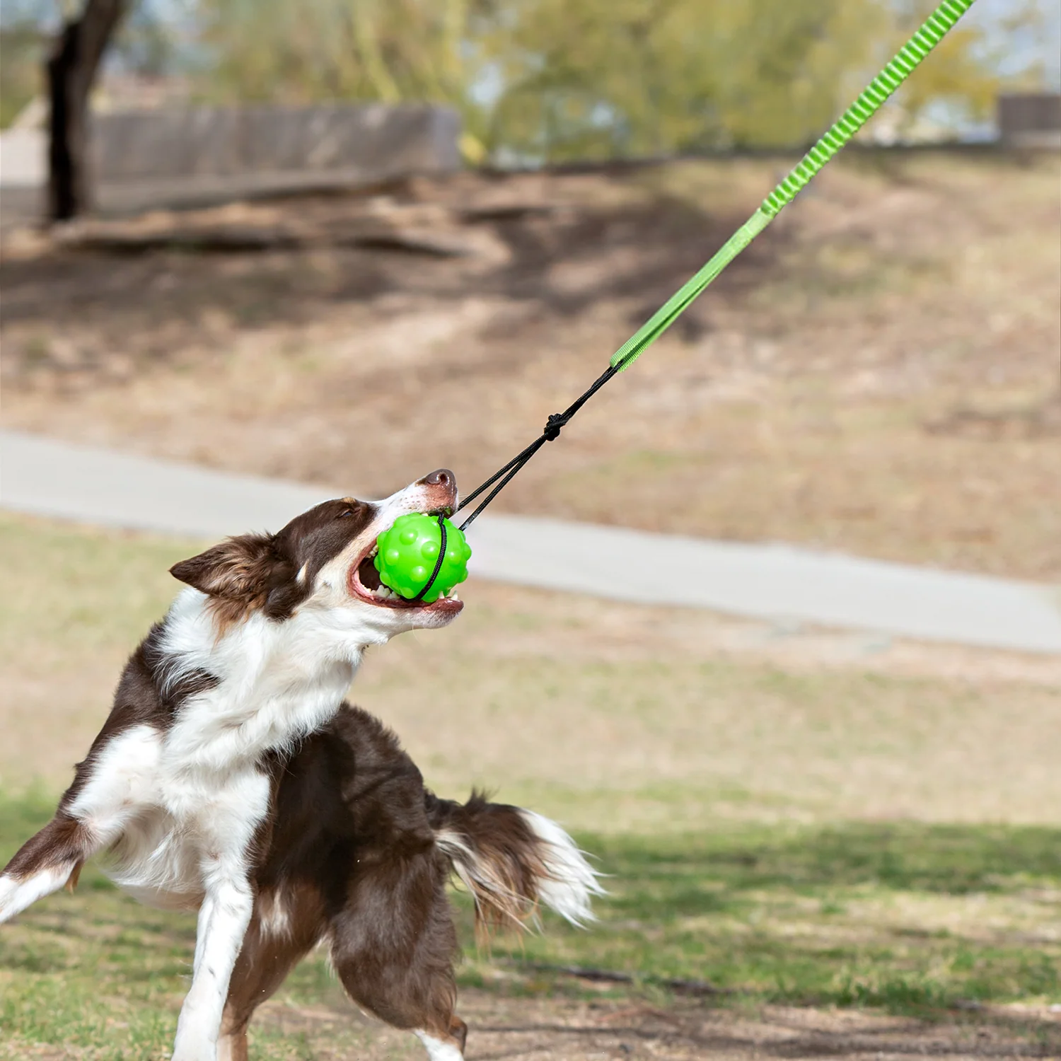 Tree Tugger - Image 2