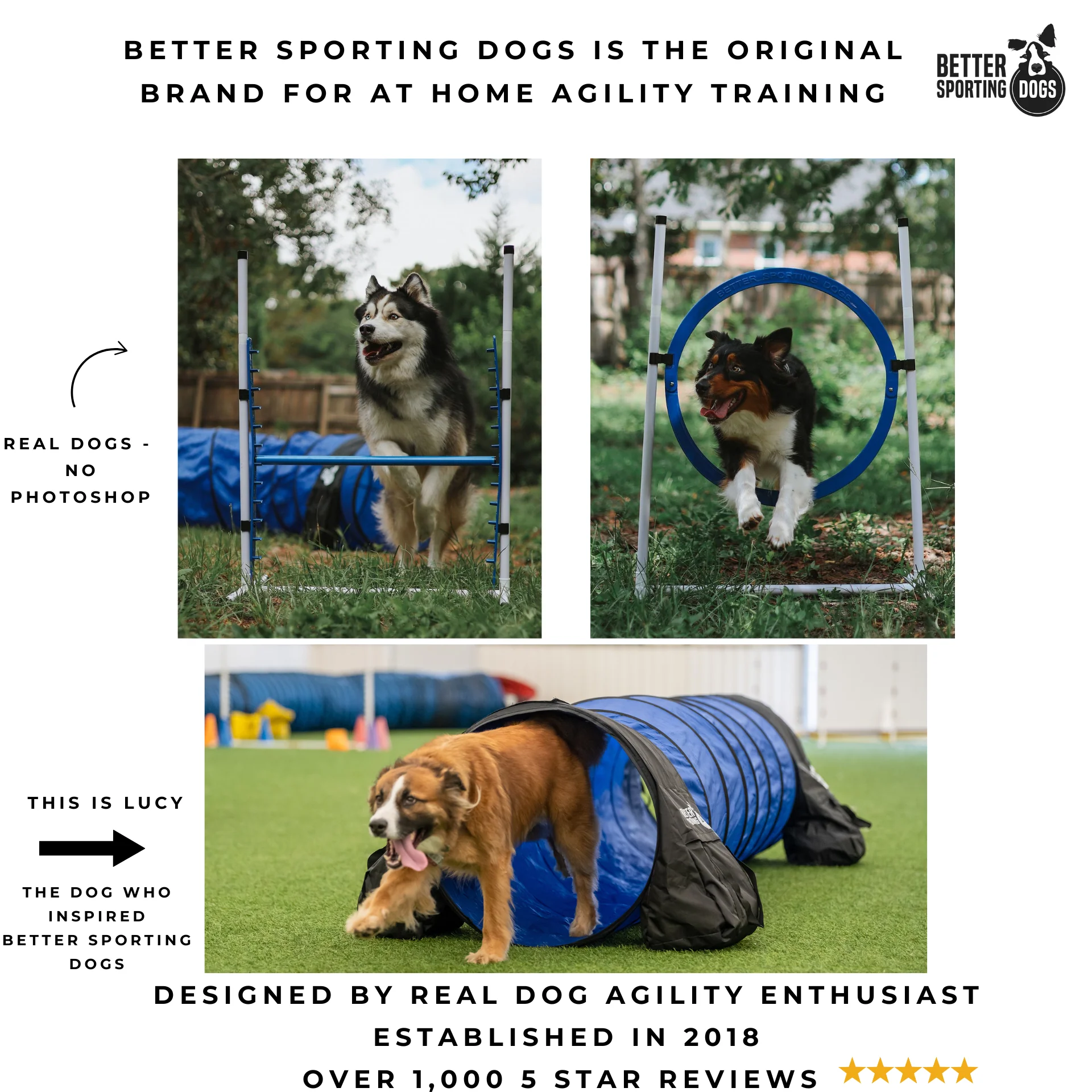 Better Sporting Dogs Upgraded Dog Agility Set – 5 Piece Training Kit with Safety Breakaway Tire Jump, Displacement Bar Jump, Tunnel, Weave Poles & Pause Box - Image 11