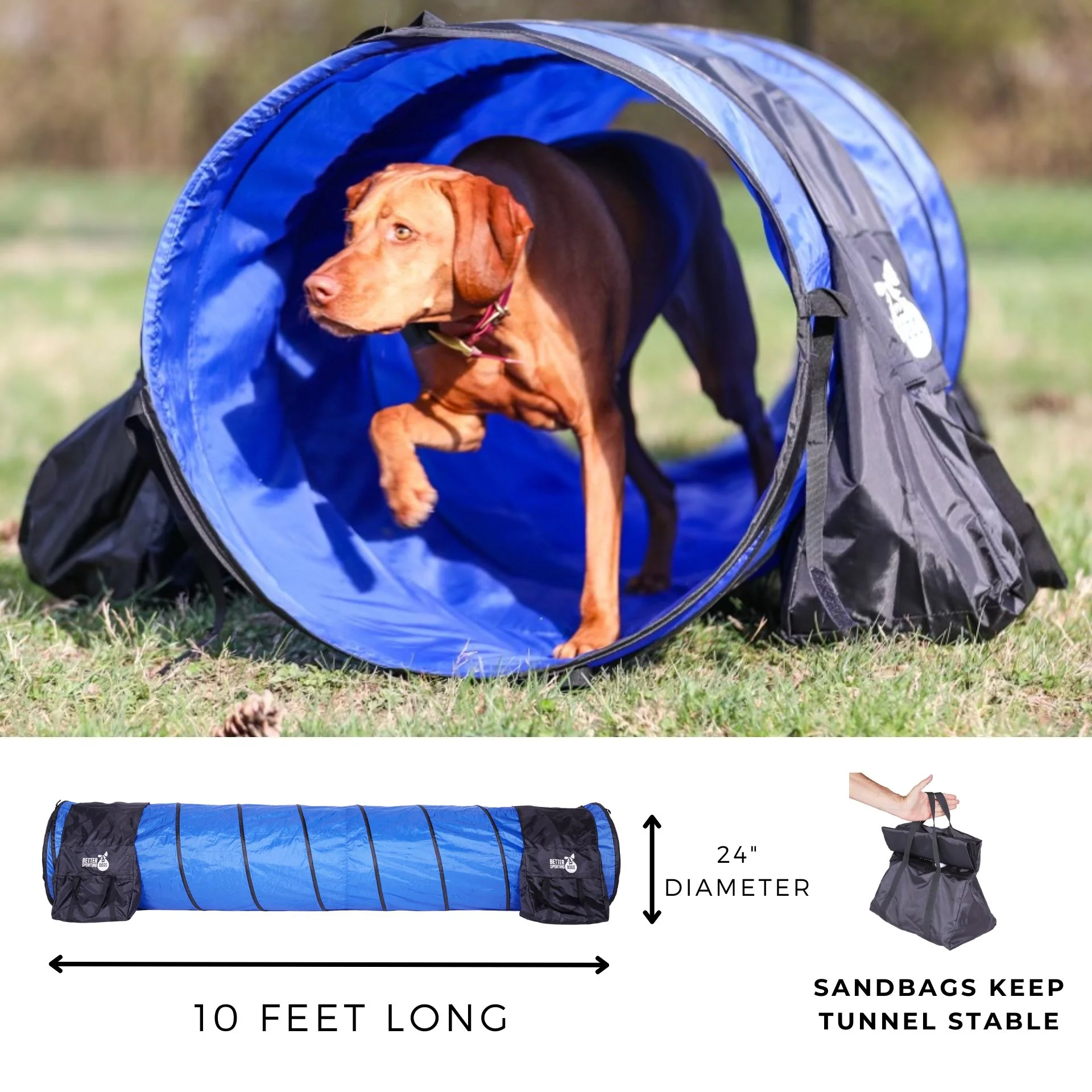 Better Sporting Dogs 5 Piece Dog Agility Equipment Set – with Jumps, Tunnel, Pause Box & Weave Poles - Image 5