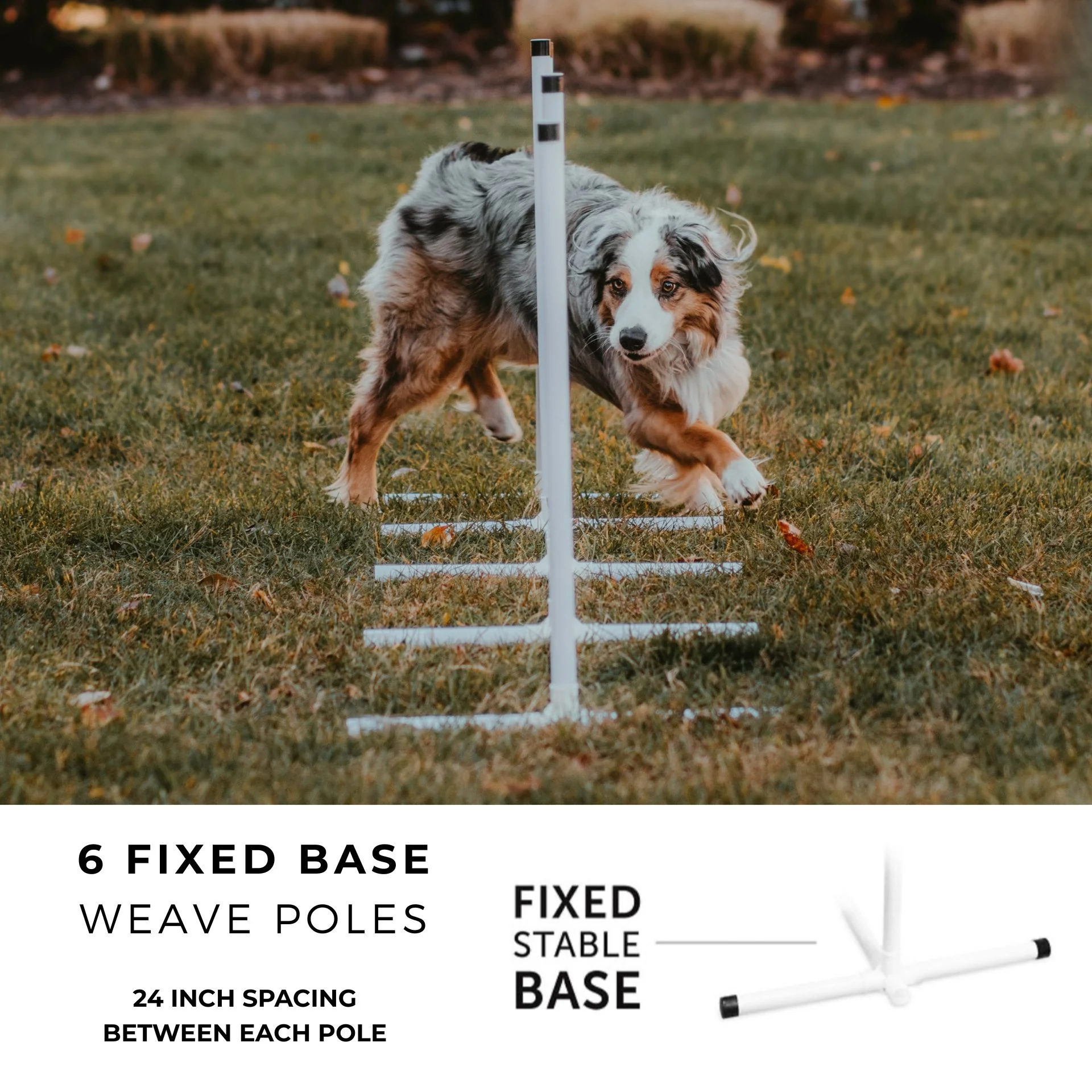 Better Sporting Dogs 5 Piece Dog Agility Equipment Set – with Jumps, Tunnel, Pause Box & Weave Poles - Image 6