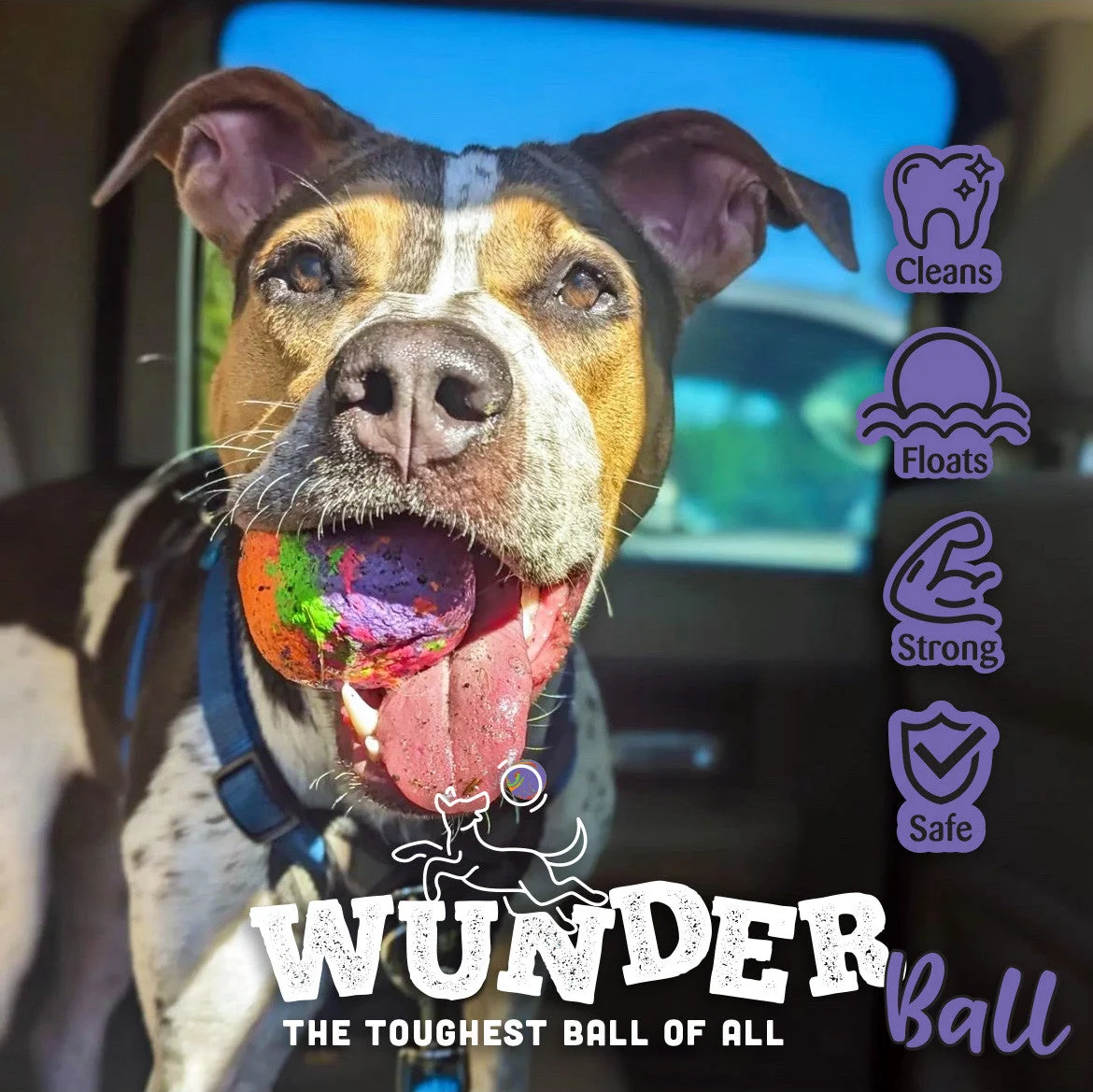 WUNDERBALL - Best Fetch Toy - Image 6