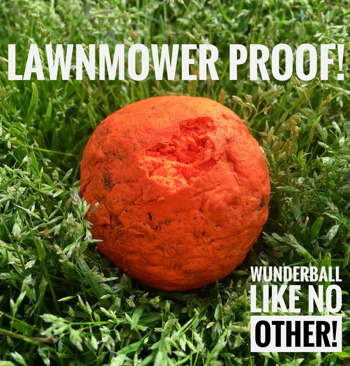WUNDERBALL - Best Fetch Toy - Image 9